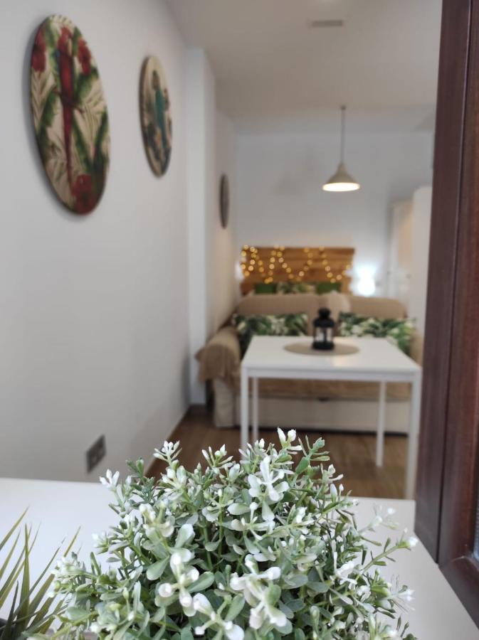 Loft Tulipanes Amarillos Junto A La Mezquita * Cordoba